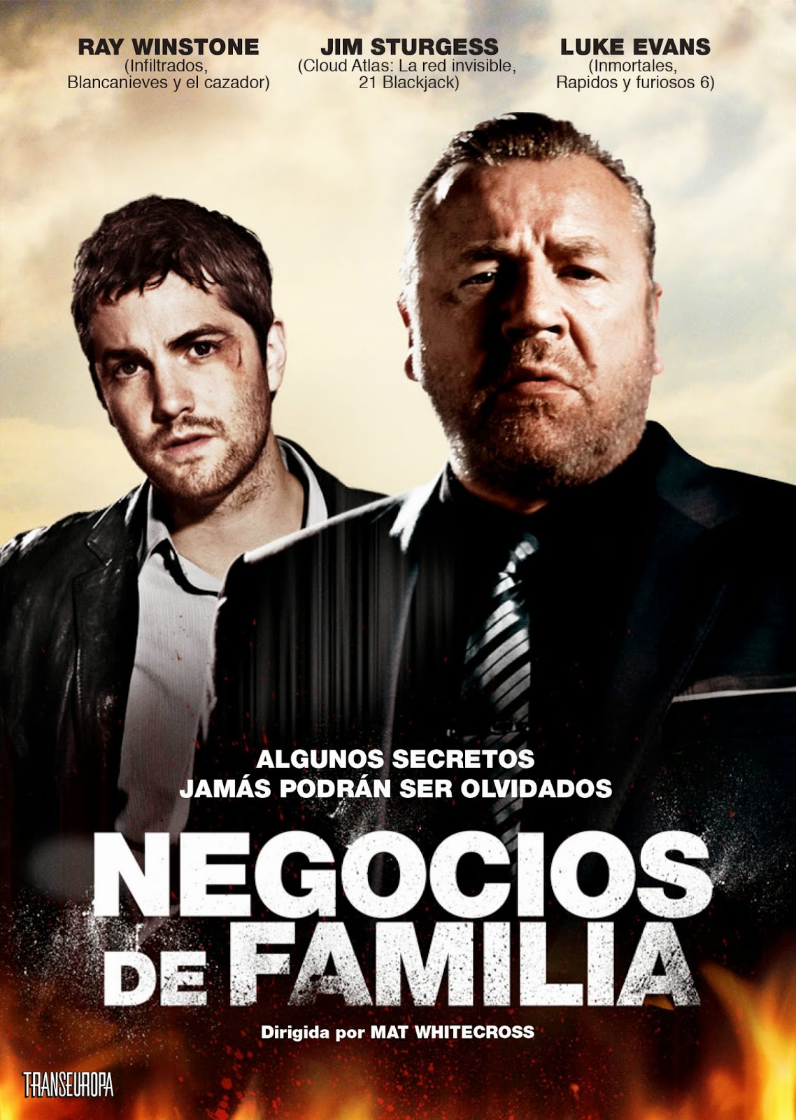 NEGOCIOS DE FAMILIA - ASHES